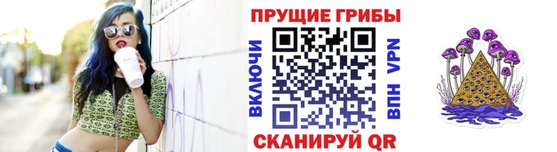 Псилоцибиновые грибы мицелий  Рассказово 